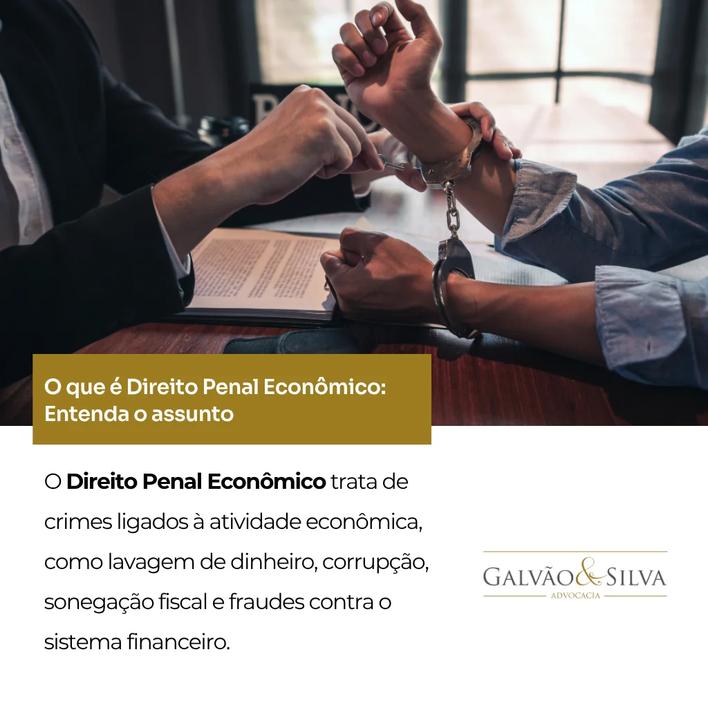O que é Direito Penal Econômico