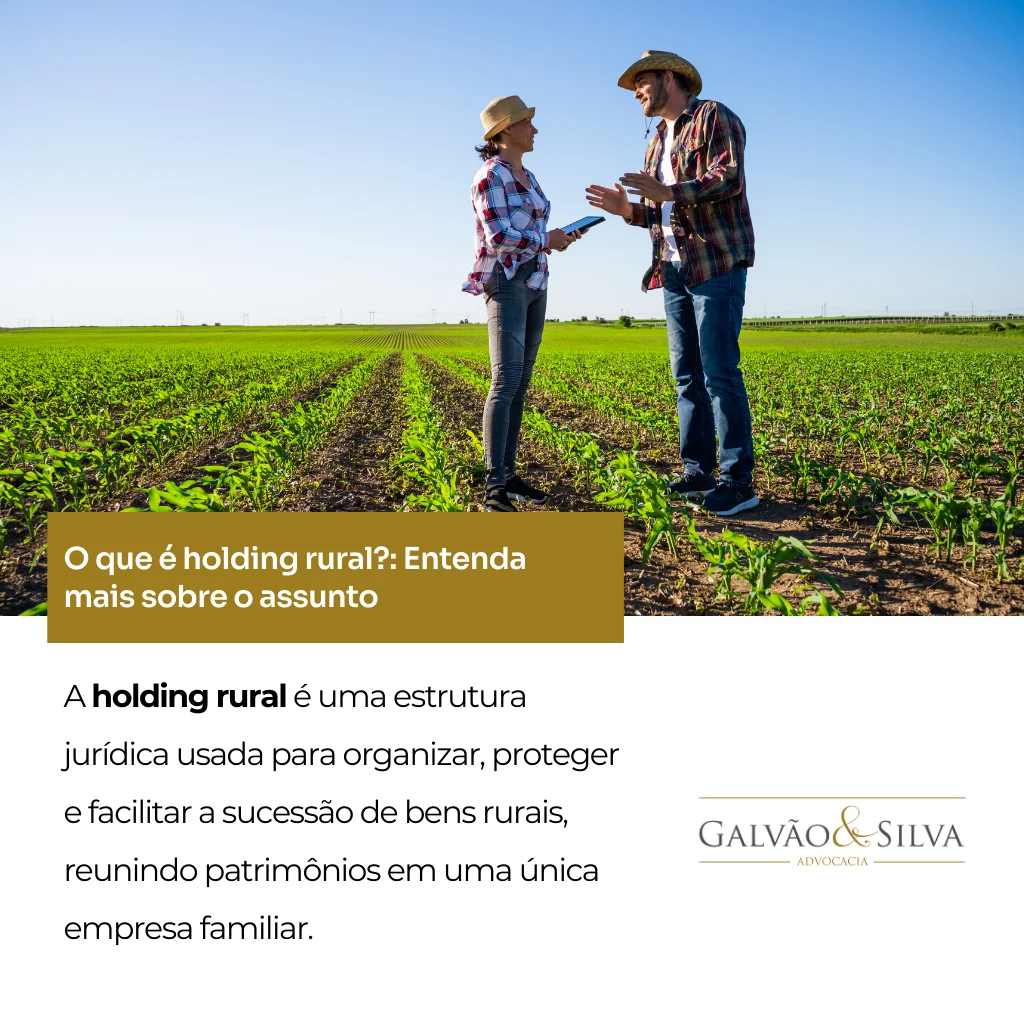 O que é holding rural