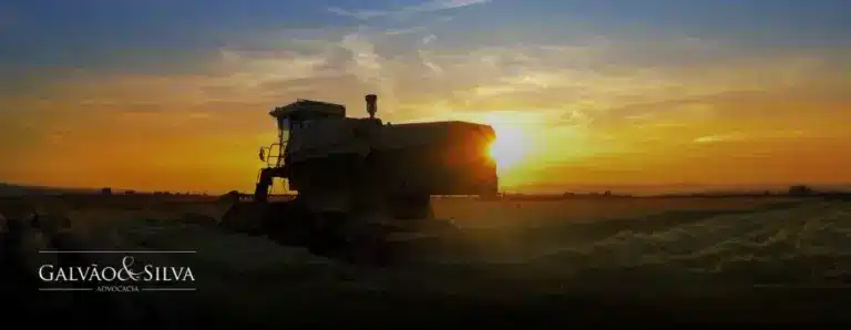 Escritório de Advocacia para Holding Rural