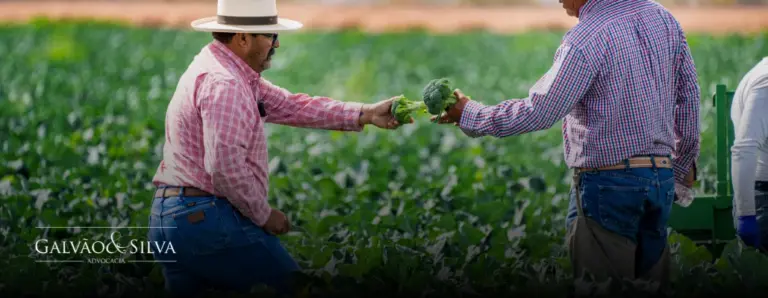Cadastro Ambiental Rural (CAR): Obrigações Legais e Como Fazer em Conformidade com o MMA