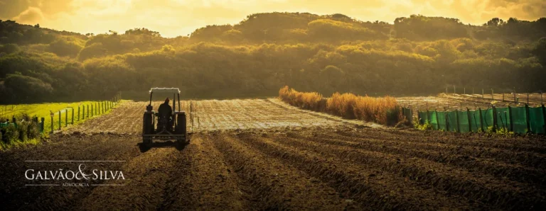 Autuações do SIF: como agir em casos de suspensão ou interdição da produção?