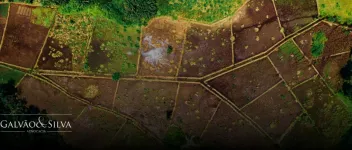 Advocacia de licenciamento em fazenda: segurança jurídica para o produtor rural