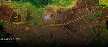 Advocacia de licenciamento em fazenda: segurança jurídica para o produtor rural
