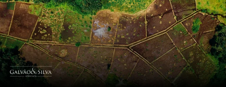 Advocacia de licenciamento em fazenda: segurança jurídica para o produtor rural