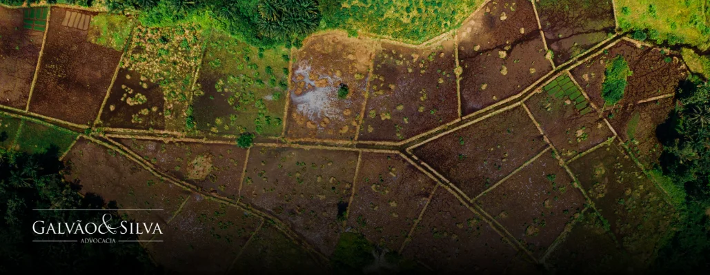 Advocacia de licenciamento em fazenda: segurança jurídica para o produtor rural