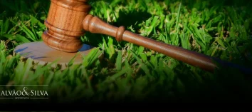 Advogado especialista em Código Florestal