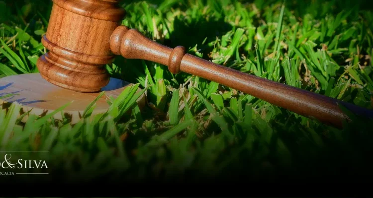 Advogado especialista em Código Florestal