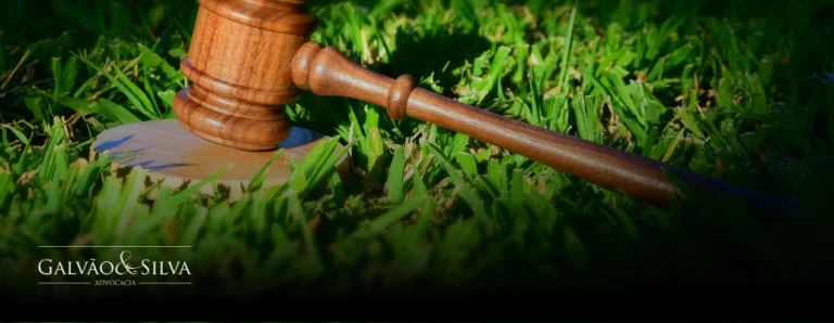 Advogado especialista em Código Florestal