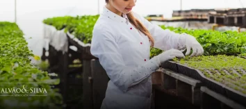 Advogado especialista em EIA/RIMA
