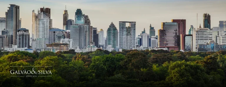 Autorização florestal e reposição obrigatória: entenda suas obrigações legais