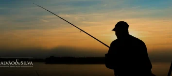 Autuação por caça ou pesca ilegal: o que fazer para evitar penalidades
