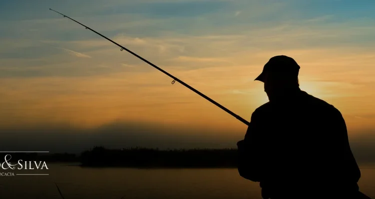 Autuação por caça ou pesca ilegal: o que fazer para evitar penalidades