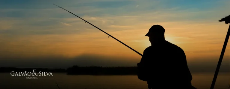 Autuação por caça ou pesca ilegal: o que fazer para evitar penalidades