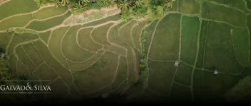 Como agir se seu terreno virou área de preservação ambiental?