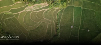 Como agir se seu terreno virou área de preservação ambiental?