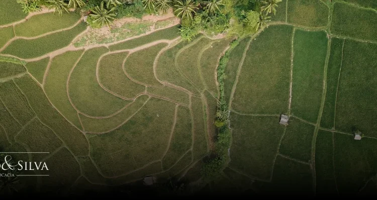 Como agir se seu terreno virou área de preservação ambiental?