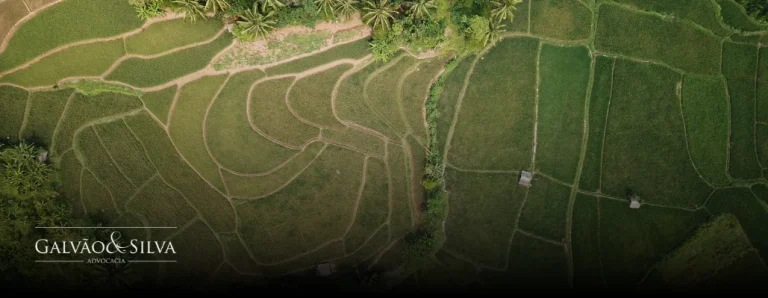 Como agir se seu terreno virou área de preservação ambiental?