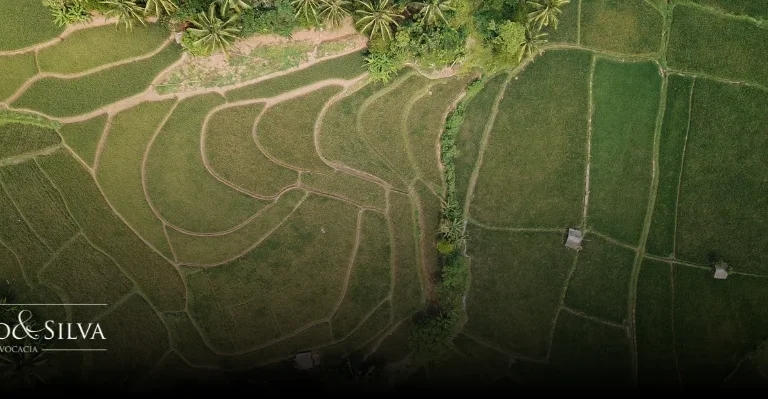 Como agir se seu terreno virou área de preservação ambiental?