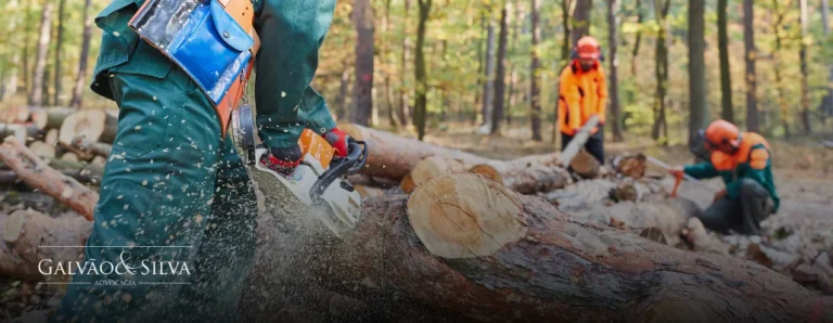 Consultoria para dano por multa ambiental: saiba quando procurar
