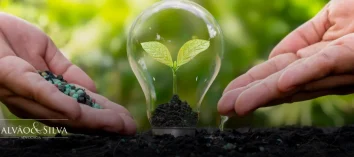 Consultoria para licença ambiental: agilidade e segurança para o seu empreendimento