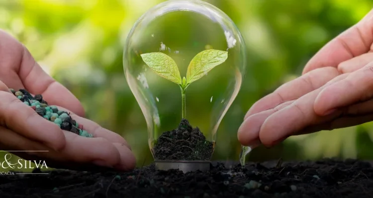 Consultoria para licença ambiental: agilidade e segurança para o seu empreendimento