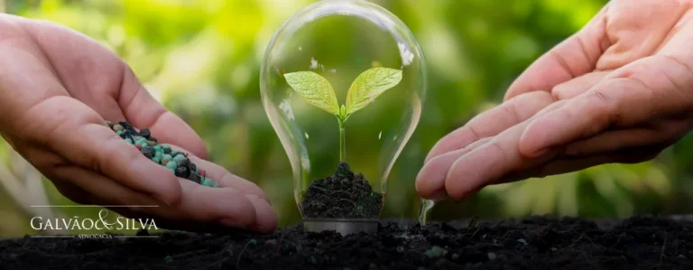 Consultoria para licença ambiental: agilidade e segurança para o seu empreendimento