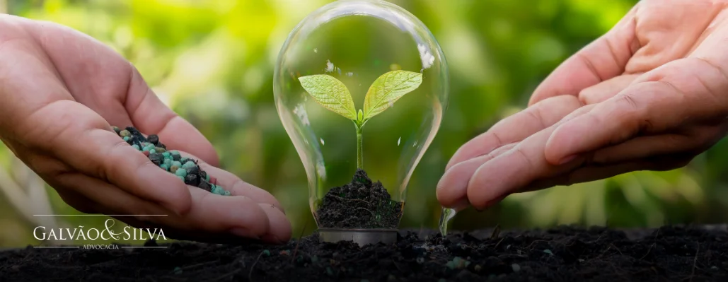 Consultoria para licença ambiental: agilidade e segurança para o seu empreendimento