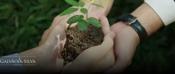 Gestão de passivo ambiental: como fazer corretamente e evitar prejuízos