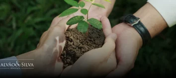 Gestão de passivo ambiental: como fazer corretamente e evitar prejuízos