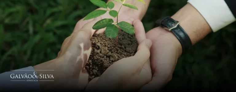 Gestão de passivo ambiental: como fazer corretamente e evitar prejuízos