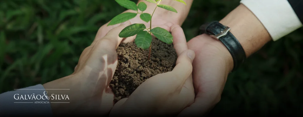 Gestão de passivo ambiental: como fazer corretamente e evitar prejuízos