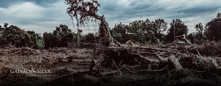 Inquérito civil ambiental: o que é, quando ocorre e como se defender