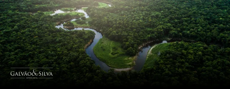 Lei da Mata Atlântica: entenda seus efeitos legais e como se proteger