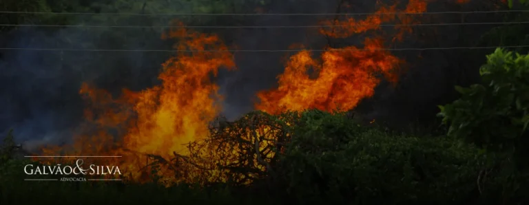 O que diz o Código Florestal sobre incêndio em vegetação nativa?
