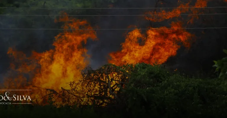 O que diz o Código Florestal sobre incêndio em vegetação nativa?