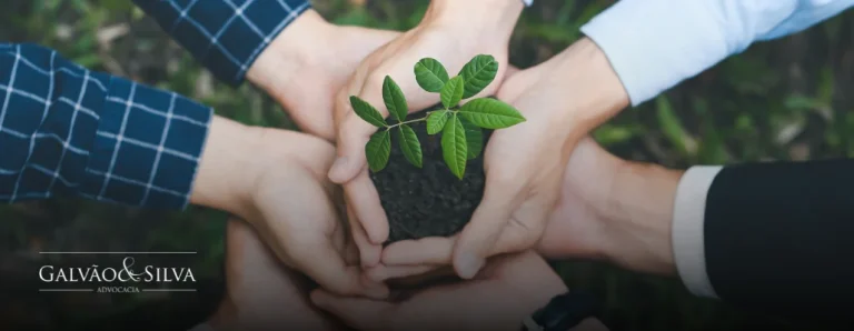 Programa de Regularização Ambiental
