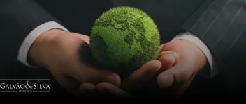 Responsabilidade ambiental: entenda suas obrigações e como se proteger