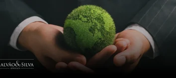 Responsabilidade ambiental: entenda suas obrigações e como se proteger