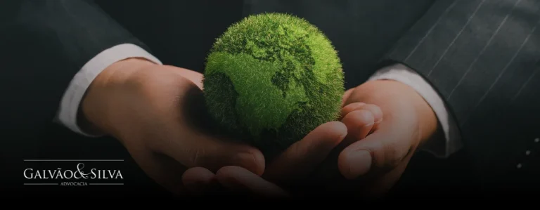 Responsabilidade ambiental: entenda suas obrigações e como se proteger
