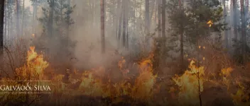 Acusado por incêndio ambiental: seus direitos e riscos