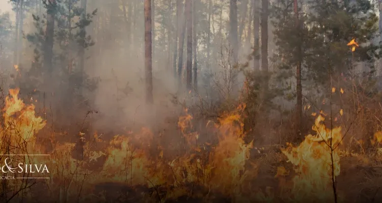 Acusado por incêndio ambiental: seus direitos e riscos