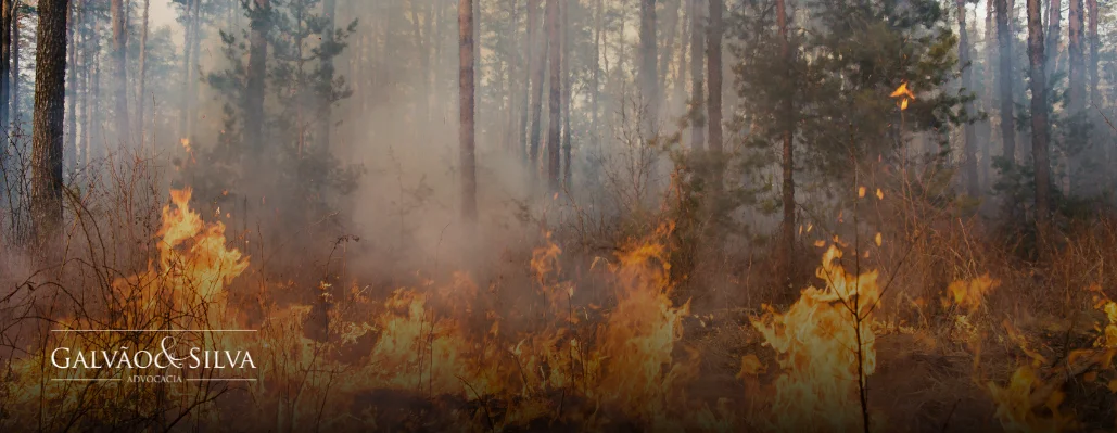 Acusado por incêndio ambiental: seus direitos e riscos Acusado por incêndio ambiental: seus direitos e riscos
