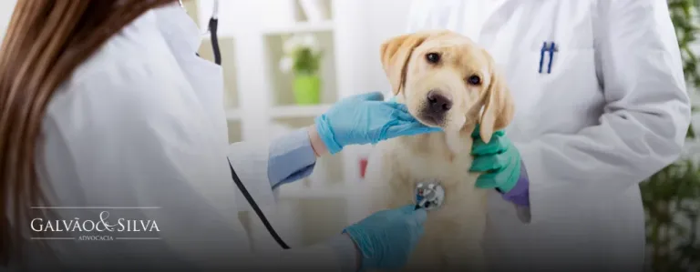Advogado especialista em Conselho Regional de Medicina Veterinária