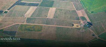 Desmembramento de terreno sem advogado gera nulidade