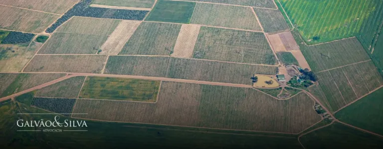 Desmembramento de terreno sem advogado gera nulidade