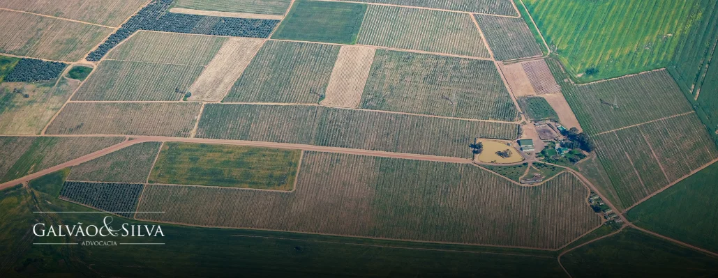Desmembramento de terreno sem advogado gera nulidade