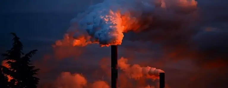 Blindagem Jurídica Ambiental: Estratégia contra as multas