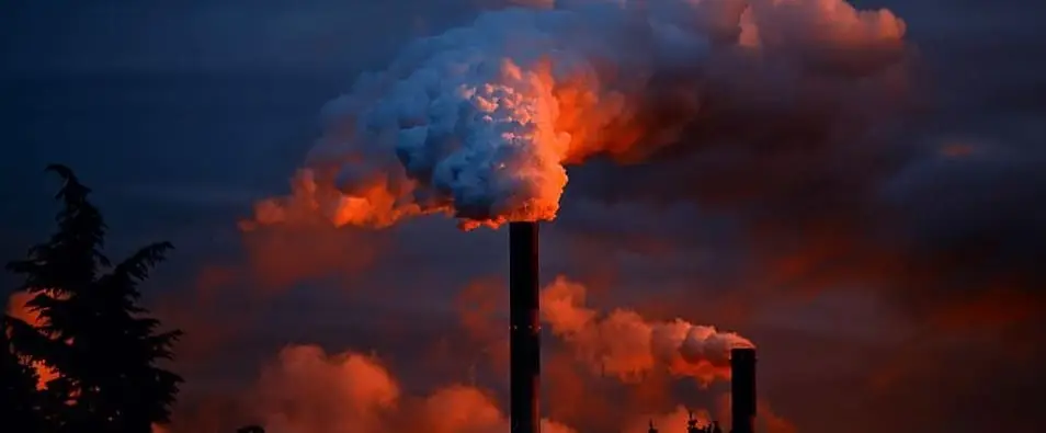 Blindagem Jurídica Ambiental: Estratégia contra as multas Blindagem Jurídica Ambiental: Estratégia contra as multas