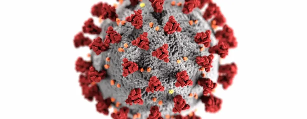 Precatórios: dicas para superar o período pós-pandemia Precatórios: dicas para superar o período pós-pandemia