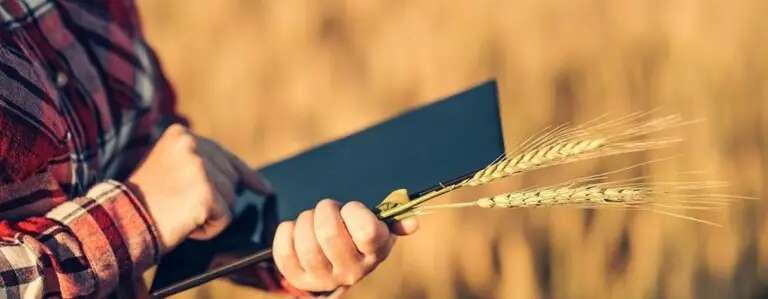 Direito agrário: segurança jurídica no campo